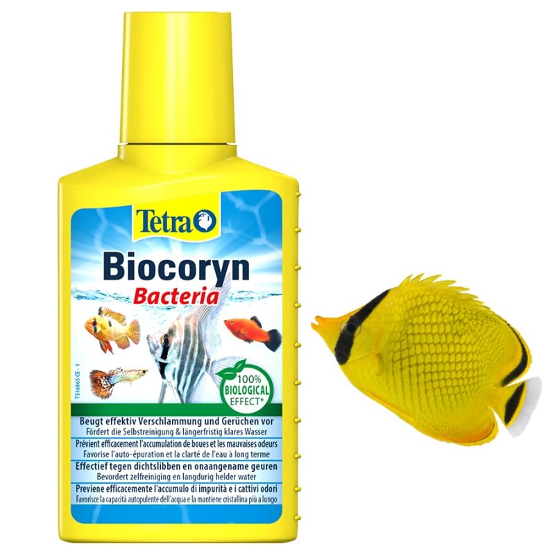 Tetra Biocoryn 100ml water treatment